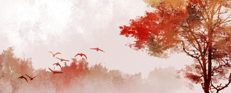 2023年正月出生的兔宝宝好不好 一生发展美好