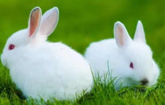 629387fb88dc890b3de553498238557a 629387fb88dc890b3de553498238557a