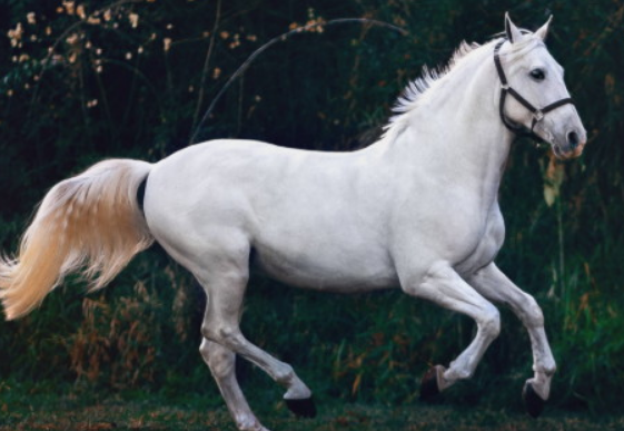 720822542ddfaaeaa6a9b03ad0f75132 720822542ddfaaeaa6a9b03ad0f75132