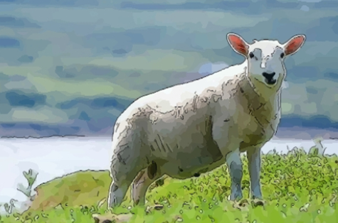 b0ed8b91c7f7695078e5c0b3e70c1894 b0ed8b91c7f7695078e5c0b3e70c1894