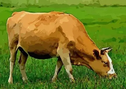 b12cc8845accf61550afedabe28f6f3d b12cc8845accf61550afedabe28f6f3d