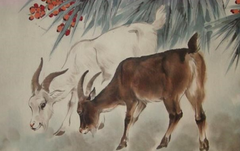 b26b2d27b1d71bcde02fbb9aa036e76a