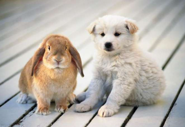 05dc357396c6b6cb1c1b3a5ad097b4ab