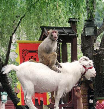 1038402d50318edbeaad9993ea6ddd98