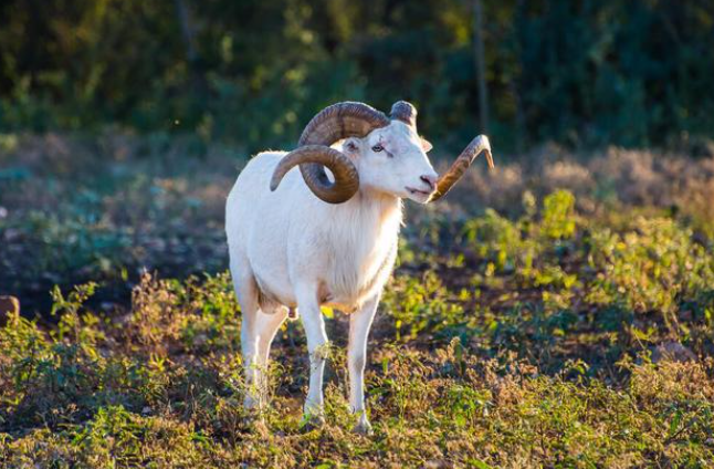 28d19ea911fe3cbcb2697cd31334391e