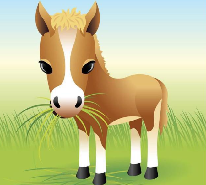 2b0ac97f9a8389293ea5e3cd6d59c444