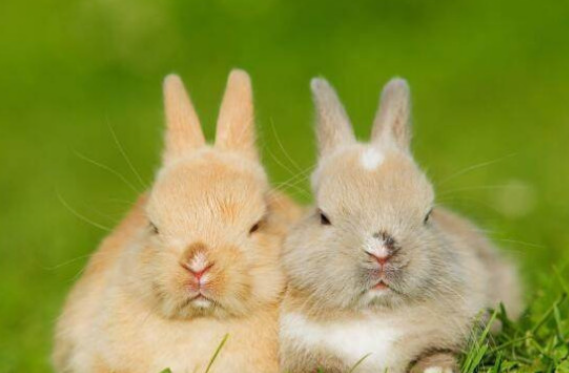 2dd5529152932c0ff59b258e9f83a5a4