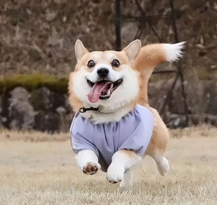 319cf8ffde31fc184b26aea04a42fec6