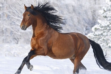 405572280e5adfbf5fa5c8ecfb347bd2 405572280e5adfbf5fa5c8ecfb347bd2