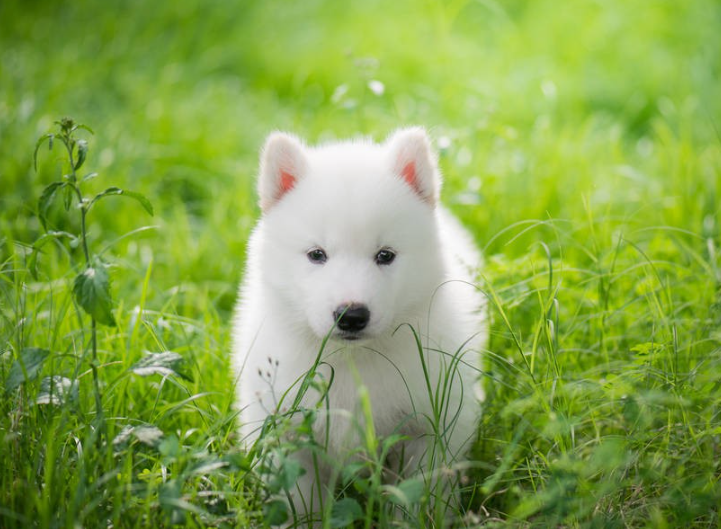 42b150ed8721fe0980d4d883a9dc33fb-1 42b150ed8721fe0980d4d883a9dc33fb-1