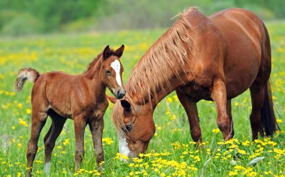 4dca9e0b8b14f0eee694af2335c5e0c4