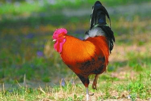 6552b7a99865e081ec4b1d09ec33a772