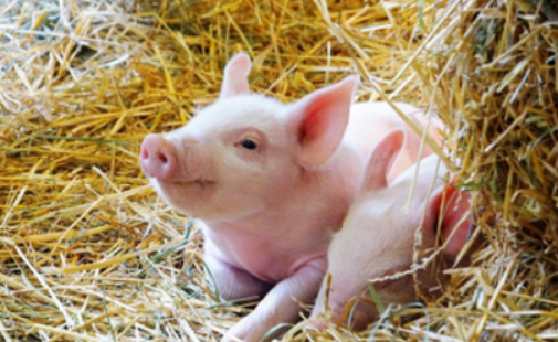 6b9364618b1ebdabe85d9c82c0eda07b 6b9364618b1ebdabe85d9c82c0eda07b