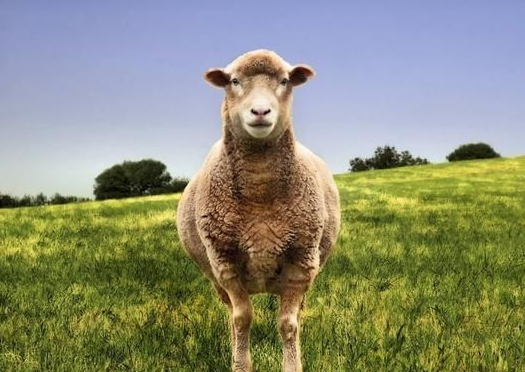 89b124a61d1bb7659c381dd1db789d87