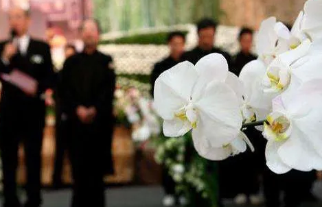 8a571563f859801c7f0044294e7ec3c3 8a571563f859801c7f0044294e7ec3c3