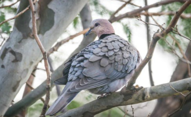 985dbaef0d8939d8f122f60ce85ccca7