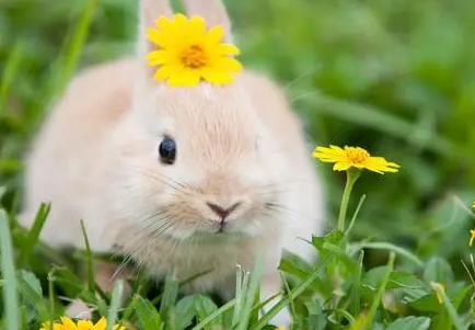 9c91b8febf60556a32a26962de5213a1 9c91b8febf60556a32a26962de5213a1