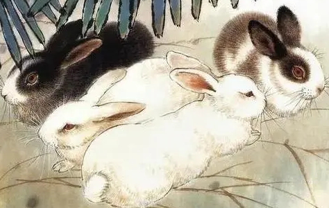 a394c9361bc393369838f51f10957ab4 a394c9361bc393369838f51f10957ab4