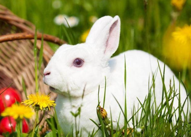 a663ba5b19ee91c36cd547b65c8cbfb5