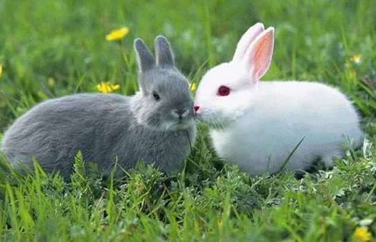 aa7139b03752fdd751c7625f0662ef65