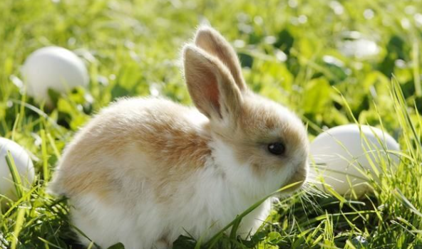 aff8ed9a800af56dff82e711e5a6e348