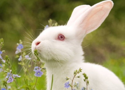 ced3668025ee2125f9284b3622643ec9 ced3668025ee2125f9284b3622643ec9