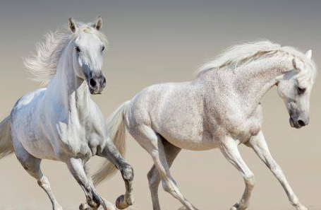 d0d838493698f271e7c27b8b687c0a39 d0d838493698f271e7c27b8b687c0a39