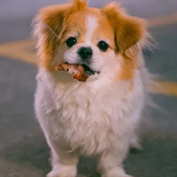 d9247f13c727b283157baa12b8222fdb d9247f13c727b283157baa12b8222fdb