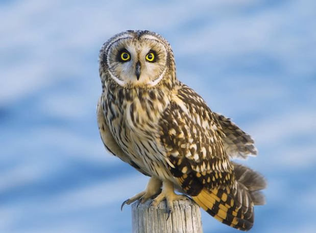 e43c405f050a8d47c4aad463dc4a569c