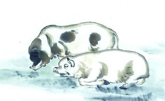 e8a506c73b16d51b0015138d18a44fac