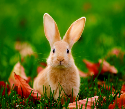 ed4f3f5dc7d13730e0599bcbe8efcb07 ed4f3f5dc7d13730e0599bcbe8efcb07