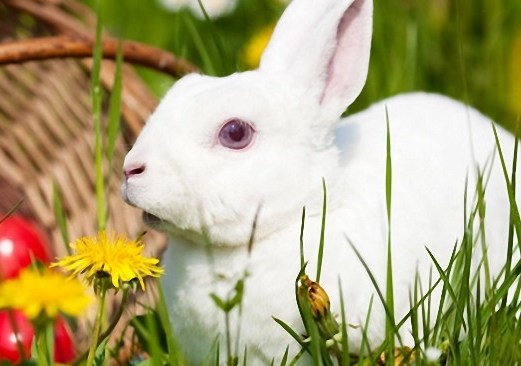 0ca8915983c06bb2ea212dd3ab1778ca 0ca8915983c06bb2ea212dd3ab1778ca