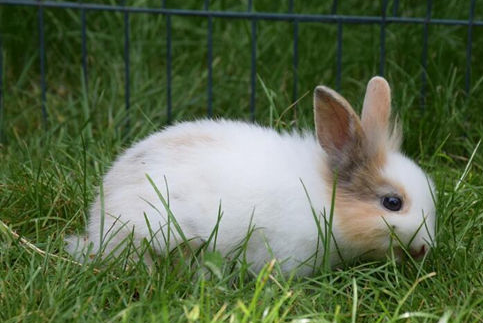 1e524f7879cfc8d9e726a5ef55a2bc7b