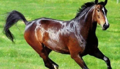 295d1f948ddd47d2332970a35963640b 295d1f948ddd47d2332970a35963640b