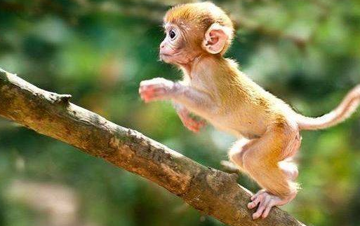 42e191e55b0961d670c3f9d648971766 42e191e55b0961d670c3f9d648971766