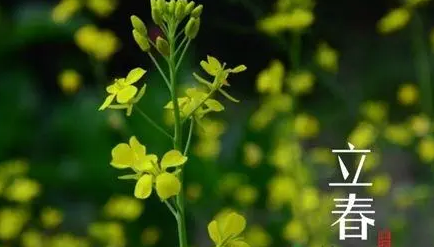 494f2b6fc9a536384742cf7b9805aff2 494f2b6fc9a536384742cf7b9805aff2