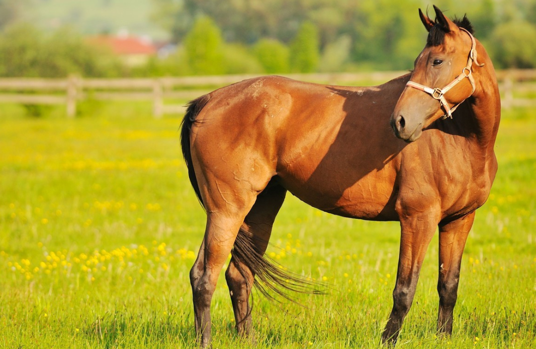 553132aa16bfe2be214c5963cf4c4a51