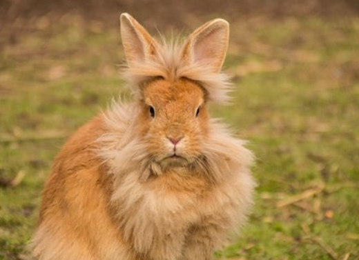 594c587aedf26778fcec88b296975a24 594c587aedf26778fcec88b296975a24