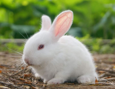 629dcf4140131a108e920634aae6d9c1