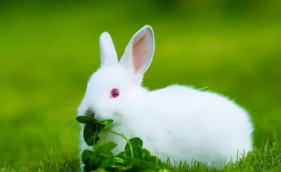 9d784bfeb1b358eca3ac3859cbb05c2f