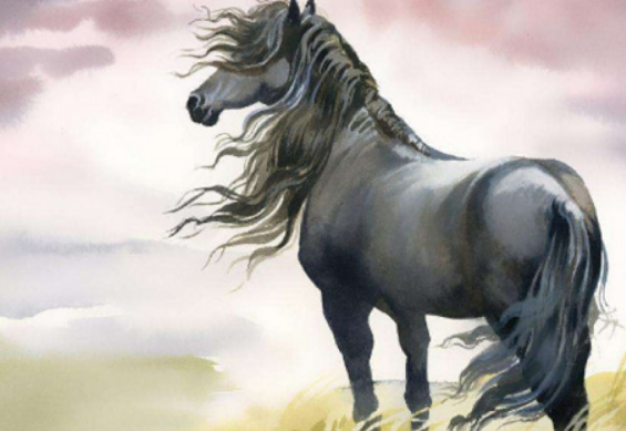 a52d47cd59dcaf550d5f52dec74d2257 a52d47cd59dcaf550d5f52dec74d2257