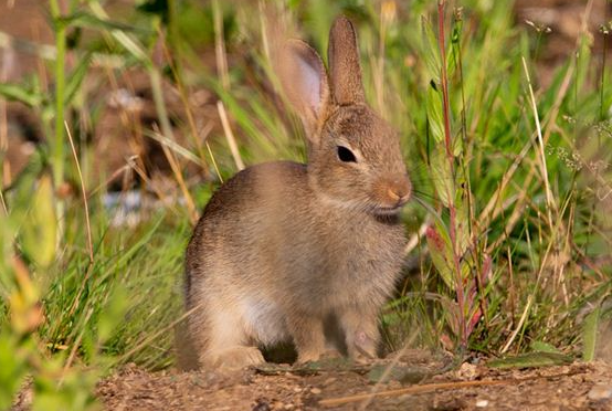 ae27f4329c63493cd55ecb0468a81892 ae27f4329c63493cd55ecb0468a81892