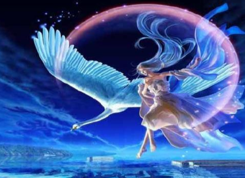 c02db15b1909241d3c2521629ed0e225