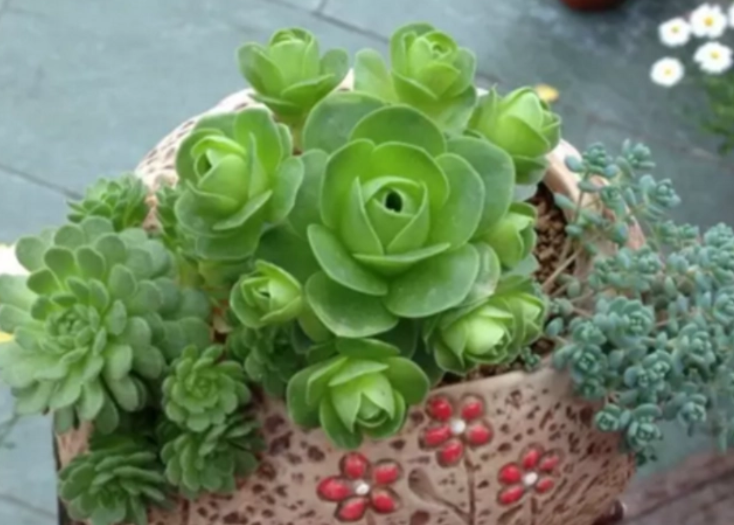 c39355972be45c6fb0db37d06399db44