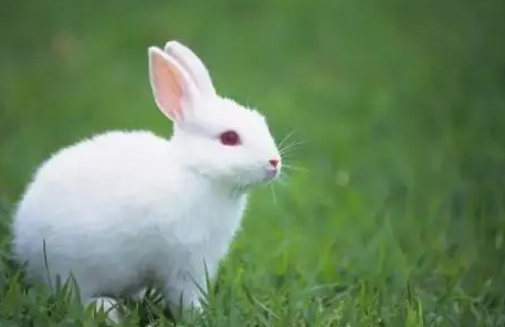 d1e85158920e750d38bb985373fc18dc d1e85158920e750d38bb985373fc18dc