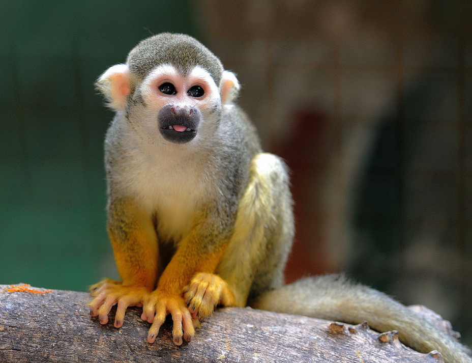 d8be834dacbe2c7c352f554ff4da2b8d