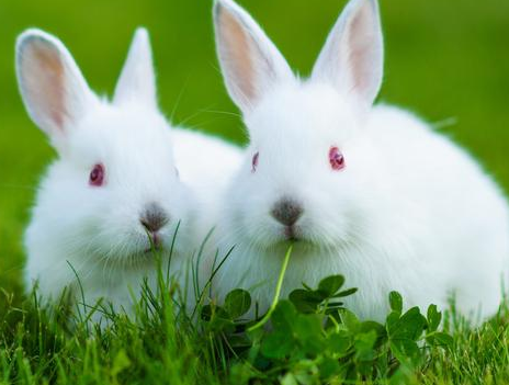 d98781615f298cb941e6699bdfa67b91 d98781615f298cb941e6699bdfa67b91