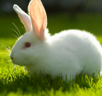 f0b2cfceb8d616d76147552dc2123d79 f0b2cfceb8d616d76147552dc2123d79