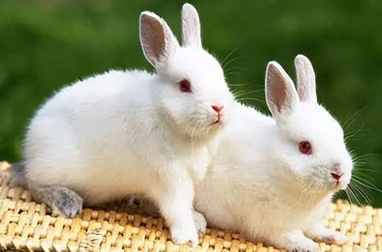 f56563fa0e0e66dc090402f503dbb23d