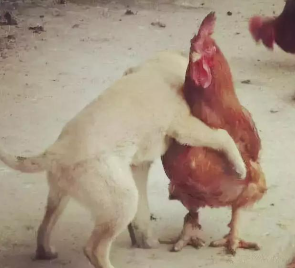 f6afe08dcfe3a5d365f13f497e03f91f